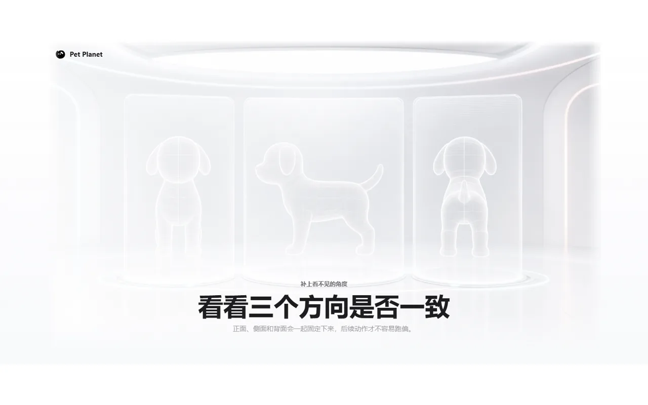 PETPLANET Cases
